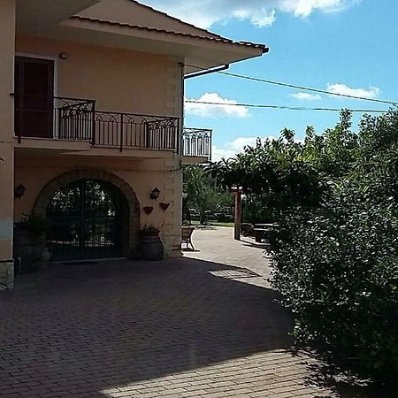 نوشيرا تيرينيزي B&B Grandinetti المظهر الخارجي الصورة